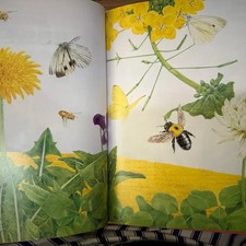 Ggotdori's Nature Exploration Book Set 1-15 