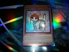 Rescue Cat 1st Edition Prismatic Ultimate Rare RA02-EN001 Yu-Gi-Oh!