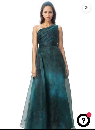 Rene Ruiz Collection One-Shoulder A-Linie Organza Kleid Gr. 10 Einzelhandel $ 1.795