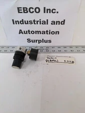 MASTER PNEUMATIC-DETROIT R55-1L15, 0-15 PSI, 300 PSI  MINI PISTON WITH GAUGE