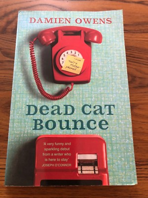 Damien Owen, Dead cat bounce