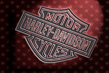 HARLEY DAVIDSON MOTORCYCLES STRETCHED CANVAS WALL ART READY TO HANG CP548