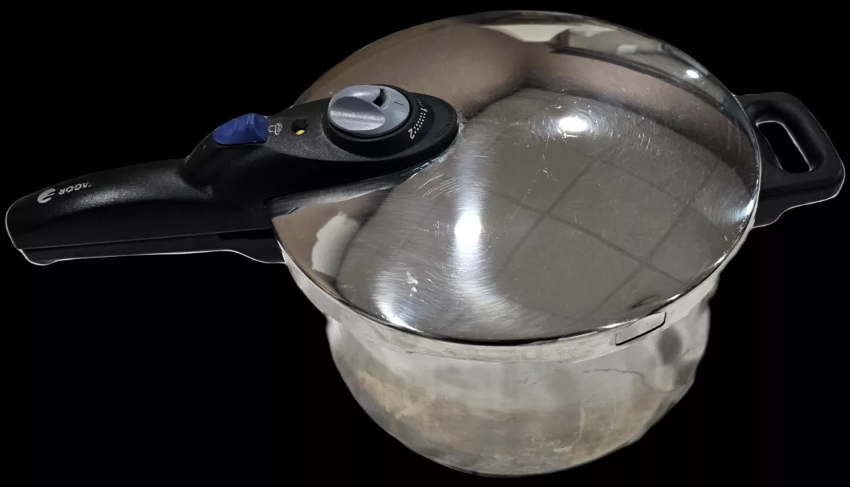 Fagor splendid pressure cooker new arrivals