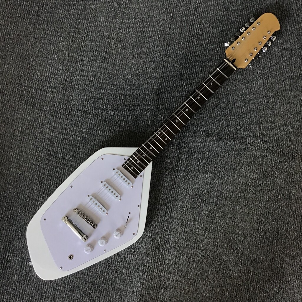 Factory Direct Sales 12 String Electric Guitar Special