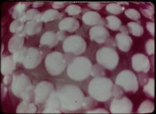 Star Trek TOS 35mm Film Clip Slide Corbomite Maneuver Balok Ship Screen 1.10.79