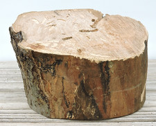 3" Apple Wood Log Chunk Cookie Slice 5x3"D Spalted Driftwood Pillar