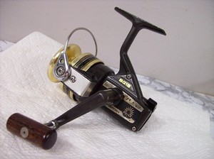 Daiwa Luna Reel | eBay