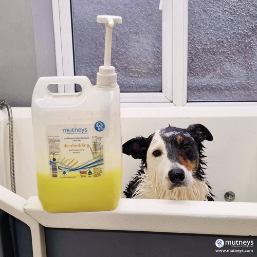 Mutneys De-Shedding Hundeshampoo | Für Häutung Rassen | 100ml, 500ml & 5ltr - Bild 6 von 12