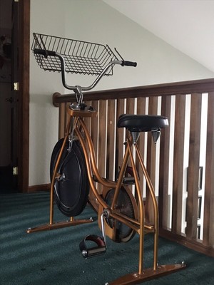 schwinn retro exercise bike
