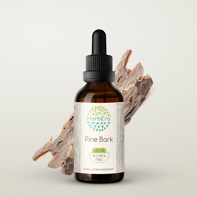 HerbEra Pine Bark Alcohol-FREE Tincture Wildcrafted (Pinus strobus)