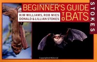 Stokes Beginner`s Guide To Bats By Kim Williams, (paperback), Little, Brown And on sale Stokes Beginner`s Guide To Bats By Kim Williams, (paperback), Little, Brown And on sale