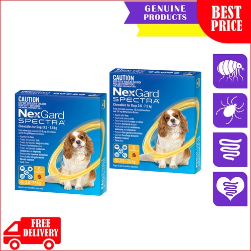 NEXGARD SPECTRA Flea Worms Treatment 3,6,12 Chews for 3.6 to 7.5 Kg Dogs YELLOW eBay