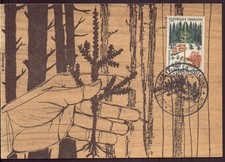 France, Carte-max du 17 septembre 1966 à Dhuizon " Reboisement de la Sologne "