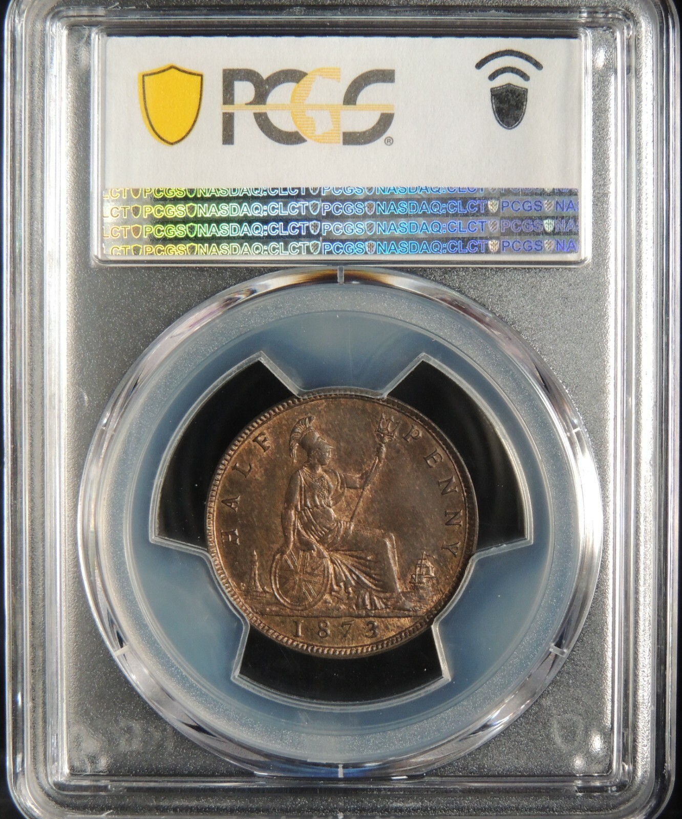 Picture 5 of 5