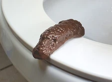 Party Pooper fake poop toilet bathroom prank joke gag home office work