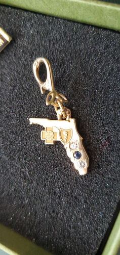 RARE 14K Solid Yellow Gold Sapphire Diamond BCBS Florida Vintage Charm Pendant - Picture 4 of 4