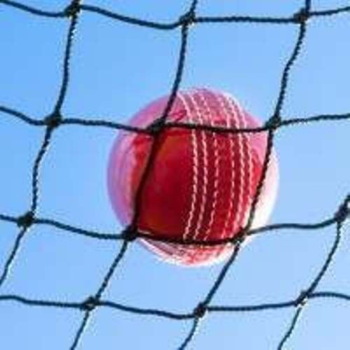 Cricket Net 3m x 10m Ball Stop Practice Cage Batting Sports Tennis Netting - Picture 4 of 12