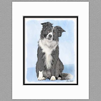 Border Collie Dog Original Art Print 8x10 Matted to 11x14