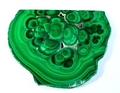 271 CT NATURAL FLOWER PLUME MALACHITE POLISH SLAB TILE UNTREATED GEMSTONE MJ-241