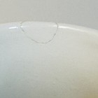 Picture 4 of 11