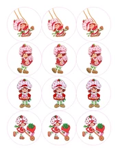 Set of 12 Strawberry Shortcake Edible Image rounds OR one cake image PRE CUT
