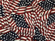 Americana patriotic Flags face Masks/Face covers liner, bendable wire