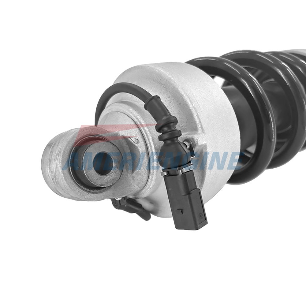 Front Left Shock Absorber Struts with Magnetic Ride For Audi R8 V8 V10 2007-2015