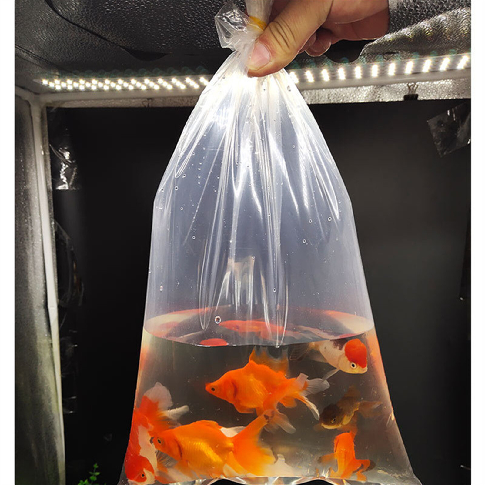 UP 500X Aquarium Fish Transport Bags Plastic Shipping Breathing Long