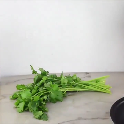 Vegetable Preservation Box, Herb Freshness Container, Suitable for Keeping Cilan - Video 1 of 1