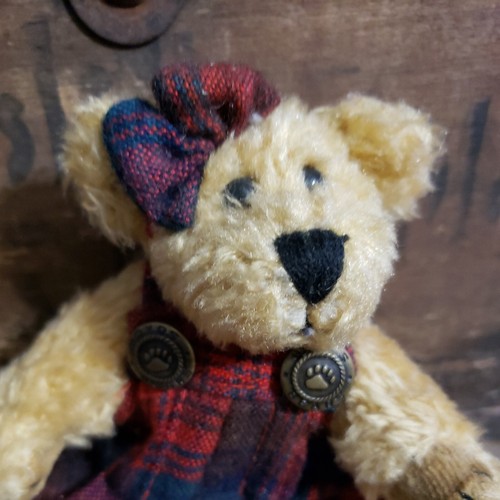 Boyd's Bears Plush #913960 DARBY BEARIBURG, 6" with Untagged Boyd's Bear - Picture 4 of 13