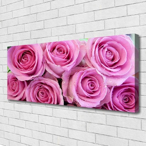 Impression sur toile Image tableaux 125x50 Floral Fleurs