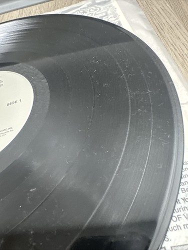Orig. Concrete Blonde Self-Titled GSP Promo Vinyl LP IRS Records 1986 w/insert - Picture 9 of 16