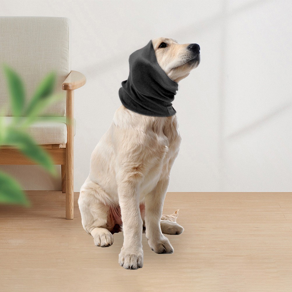 Paraorecchie per Cani - Accessori per Animali Domestici foto 4