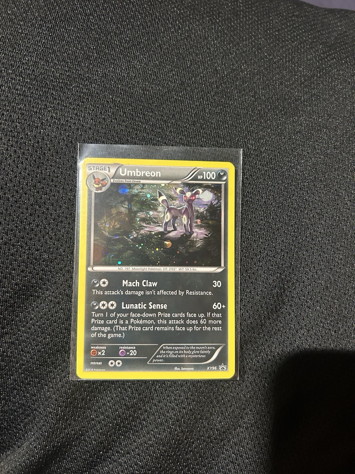 Pokemon Umbreon XY96 Black Star Promo Holo Rare 2016 - LP