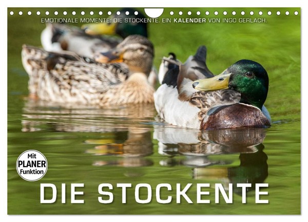 Calendar 2027 · US Version · Emotional Moments: The Mallard Duck. (Wall Calendar-image