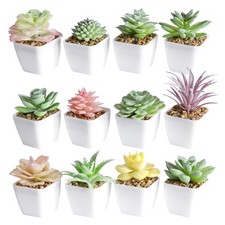 Artificial Faux Succulents in Pots Fake Plants Plastic Arrangement Planter Sm...