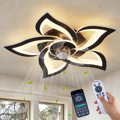 Ceiling Fan with Lights Remote Control, 24'' Black, 6 Speeds 3 Light Color Low Pr