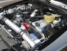 Mustang Cobra Procharger 4.6l 4v F-1 F-1a F-1d Race Kit 03-04