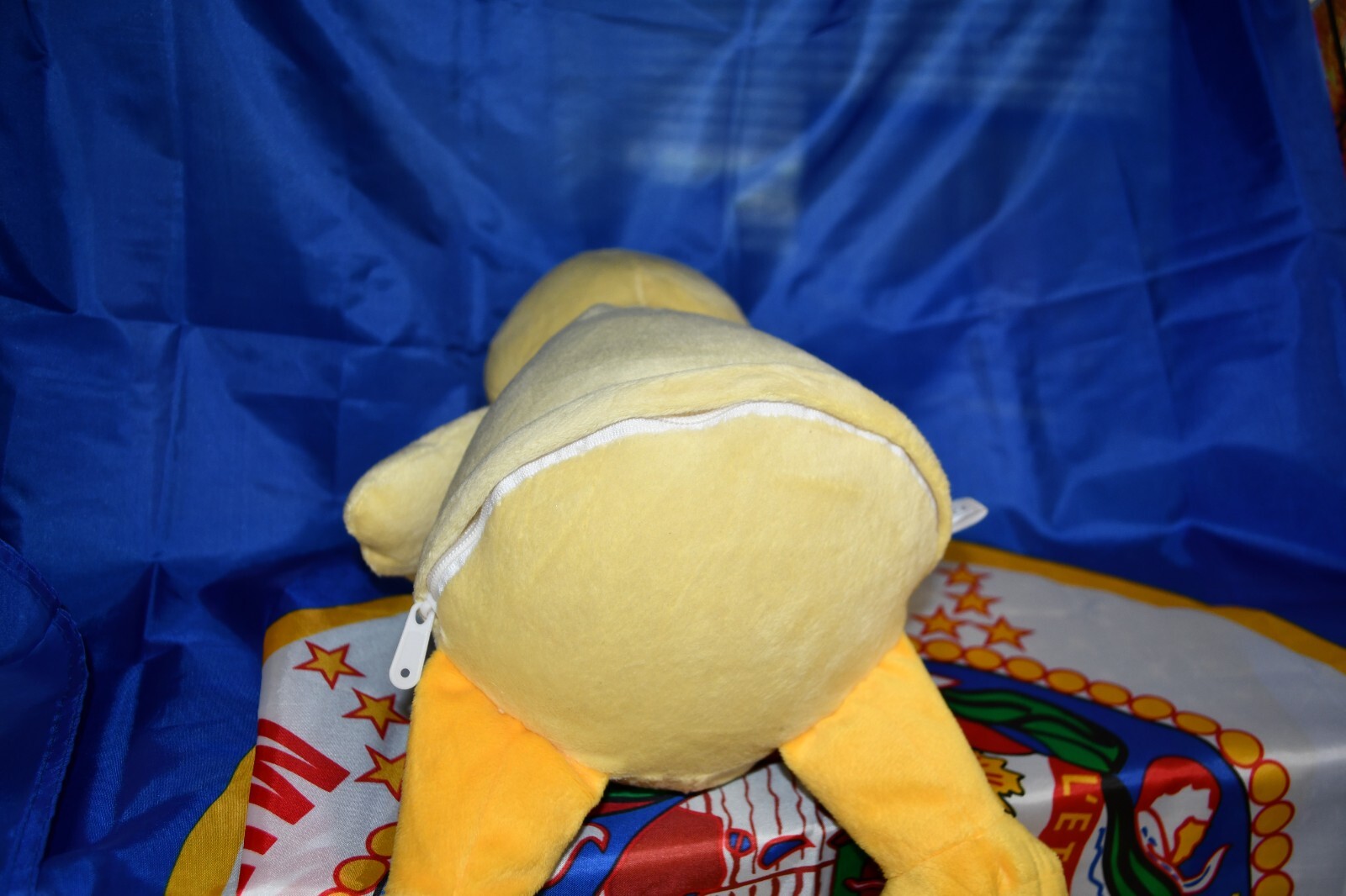 Picture 4 of 4