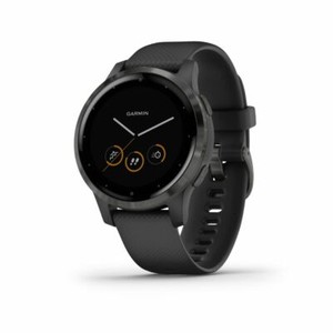 Garmin Vivoactive 4S Smartwatch (Black/Slate) 010-02172-11