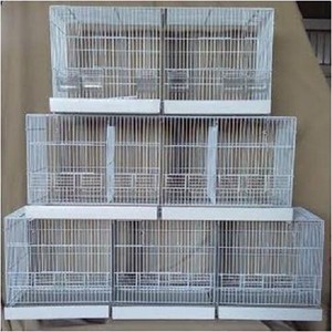 Détails Sur Cage Reproduction Oiseaux 100 Cm Cage élevage Oiseaux Ka4