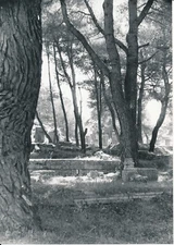 OLYMPIE c. 1950 - 11 Photos of the Greek Site - L 552