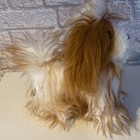 Bild 5 von 6