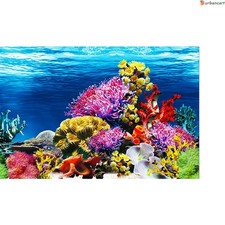 Vibrant Undersea Aquarium Background for Fish Tanks