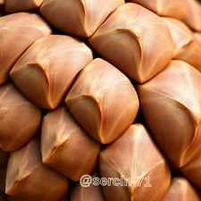 Digital Image Picture Photo Wallpaper Background Desktop AI Art Sample Product