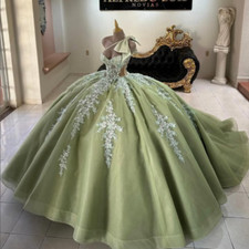 Sage Quinceanera Dresses Dance with Bow Sweet 15 16 Princess Party Ball Gowns
