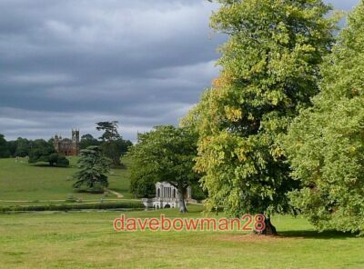 FOTO STOWE PARK FALKENWELLFELD UNTER STÜRMISCHEM HIMMEL, ABER STRAHLENDEM SONNENSCHEIN DER BAUM