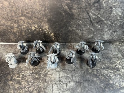 Warhammer 40k Space Wolves Grey Hunters 10x First Born  (#2543)