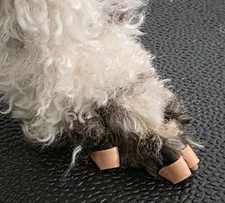 Non-Slip Directional Dog Nail Grippers. Dr. Miller's Nail Grippers. NailGrips™!