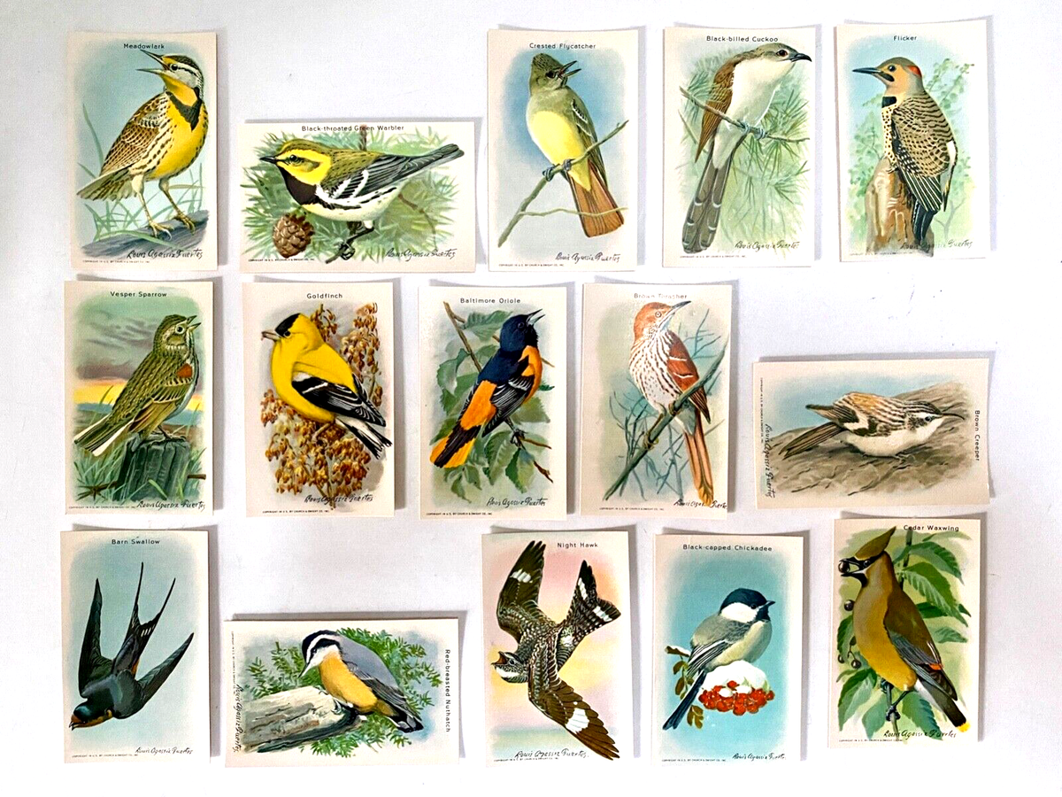 Vintage Arm & Hammer 